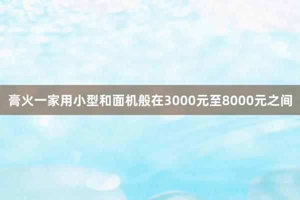 膏火一家用小型和面机般在3000元至8000元之间