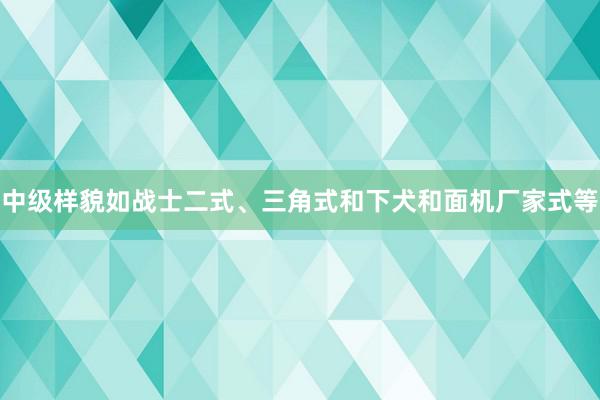 中级样貌如战士二式、三角式和下犬和面机厂家式等