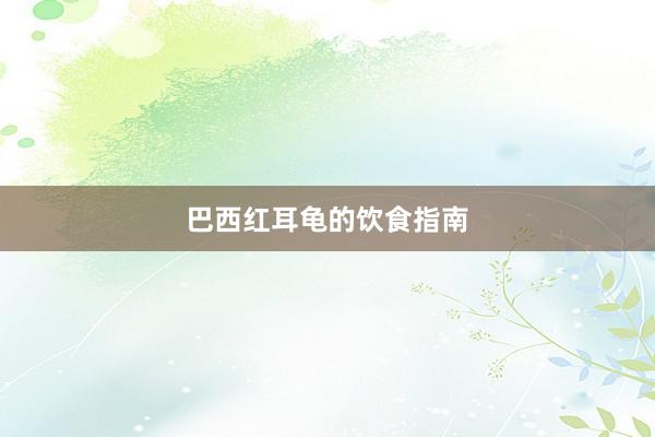 巴西红耳龟的饮食指南