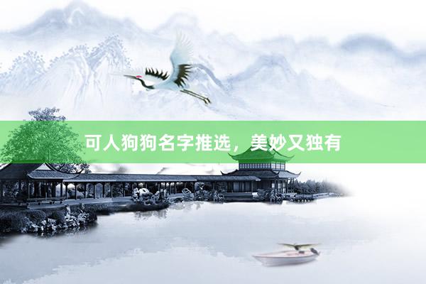 可人狗狗名字推选，美妙又独有