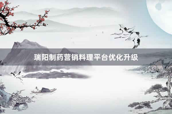 瑞阳制药营销料理平台优化升级